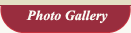Photo Gallery