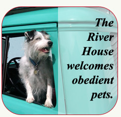 Pets Welcome